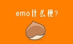 emoʲô˼W(wng)j(lu)Z?W(wng)j(lu)Zemoʲô